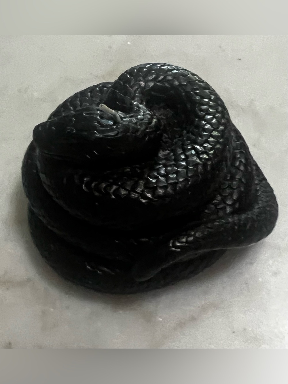 Enchanted Black Coiled Snake Candle Gothic Halloween Wicca - Picture 2 of 9
